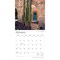 BrownTrout; Haciendas de Mexico | Great Houses of Mexico | 2027 12 x 24 Inch (Hanging) Monthly Square Wall Calendar | English/Spanish Bilingual | Plastic-Free; Category:Wall Calendars; Image:4